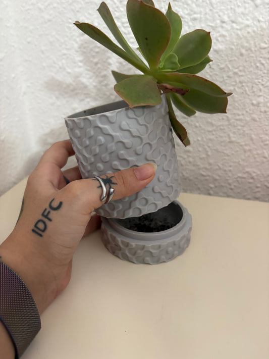 Textured Planter with Drainage Tray