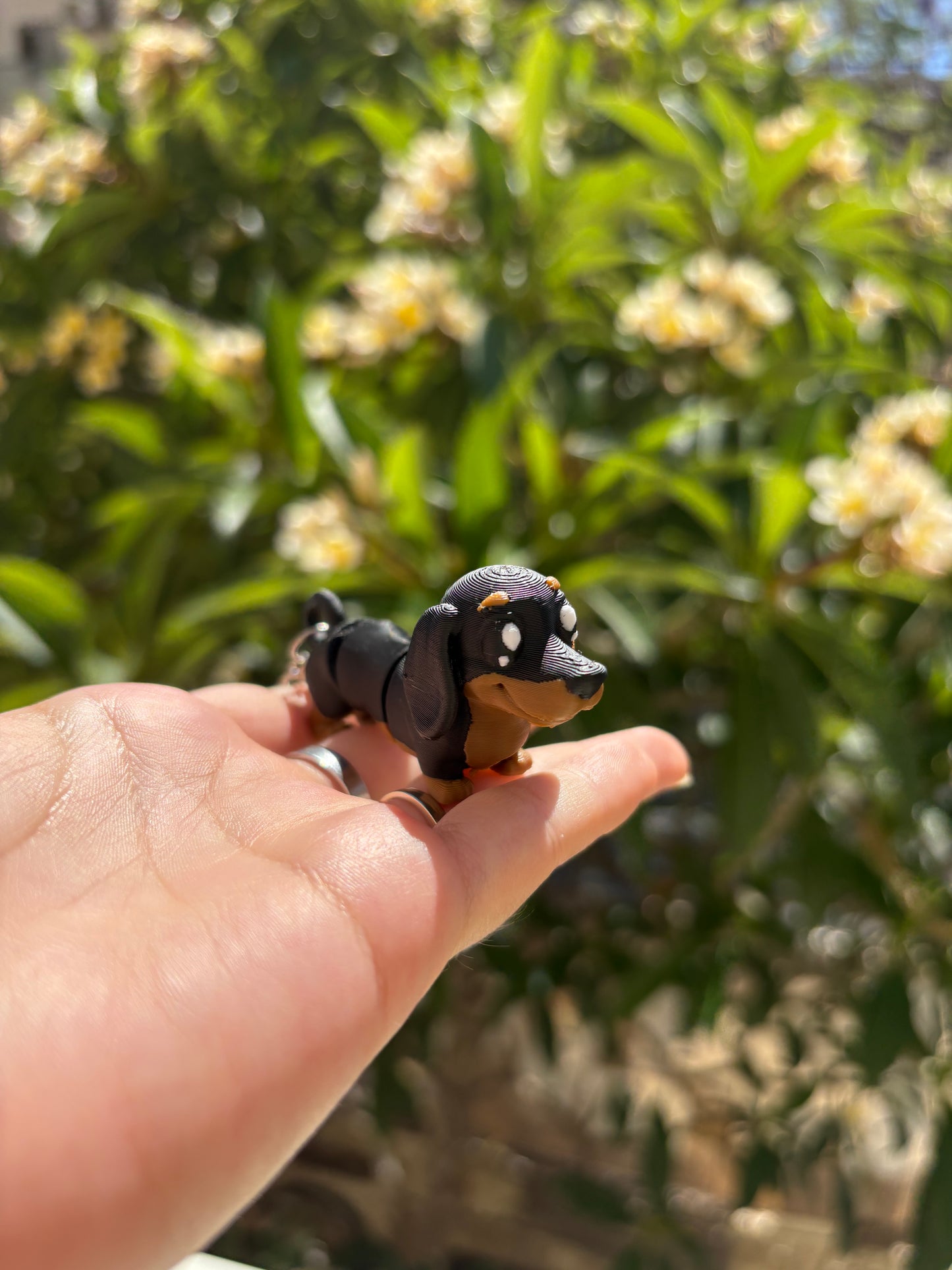 Dachshund Keychain