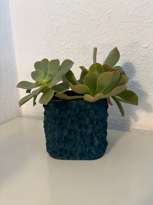 Textured Square Planter