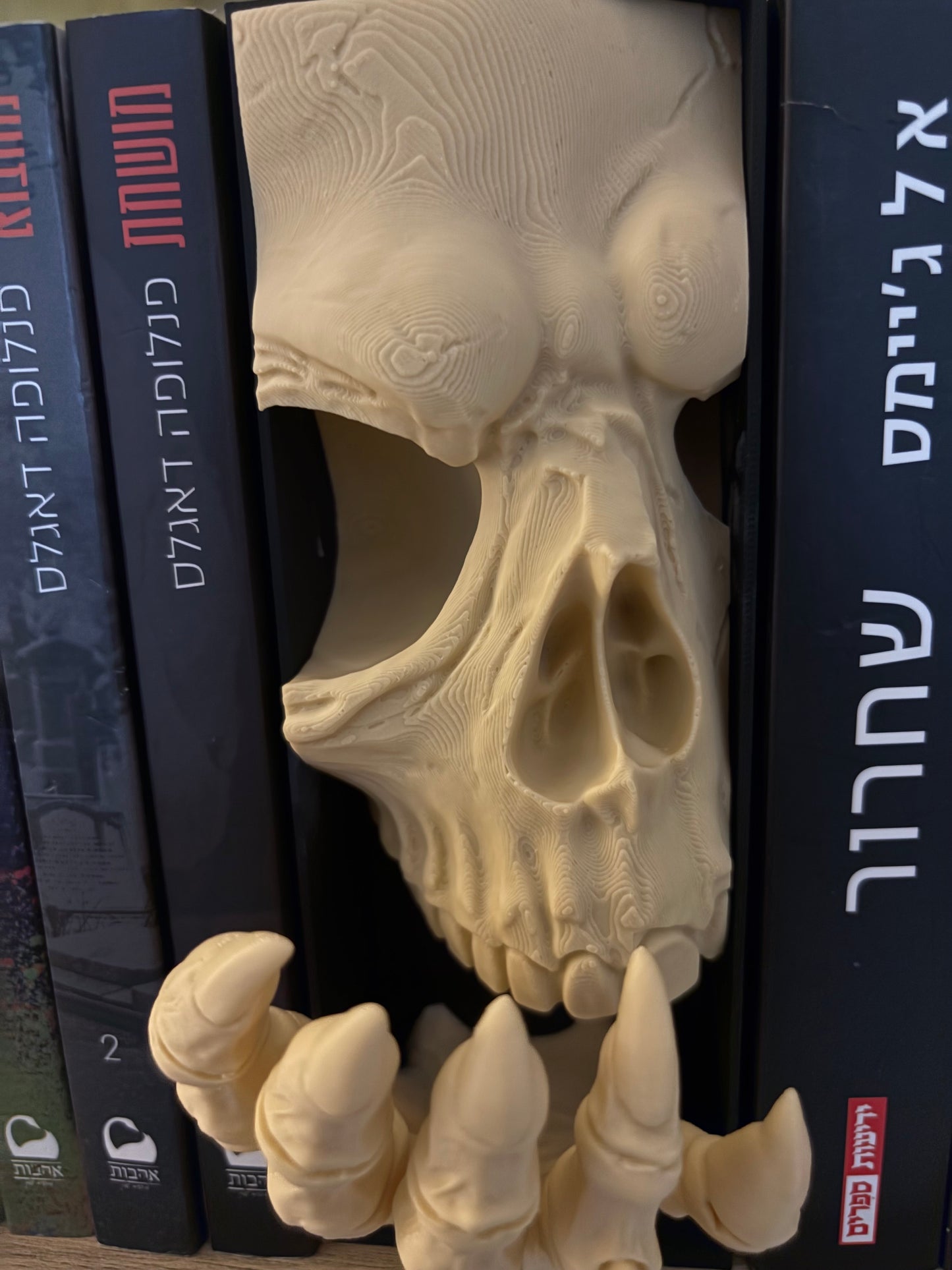 Guardian Skull BookNook