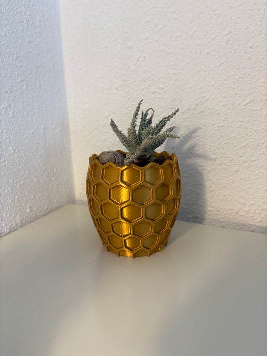 Honeycomb Planter