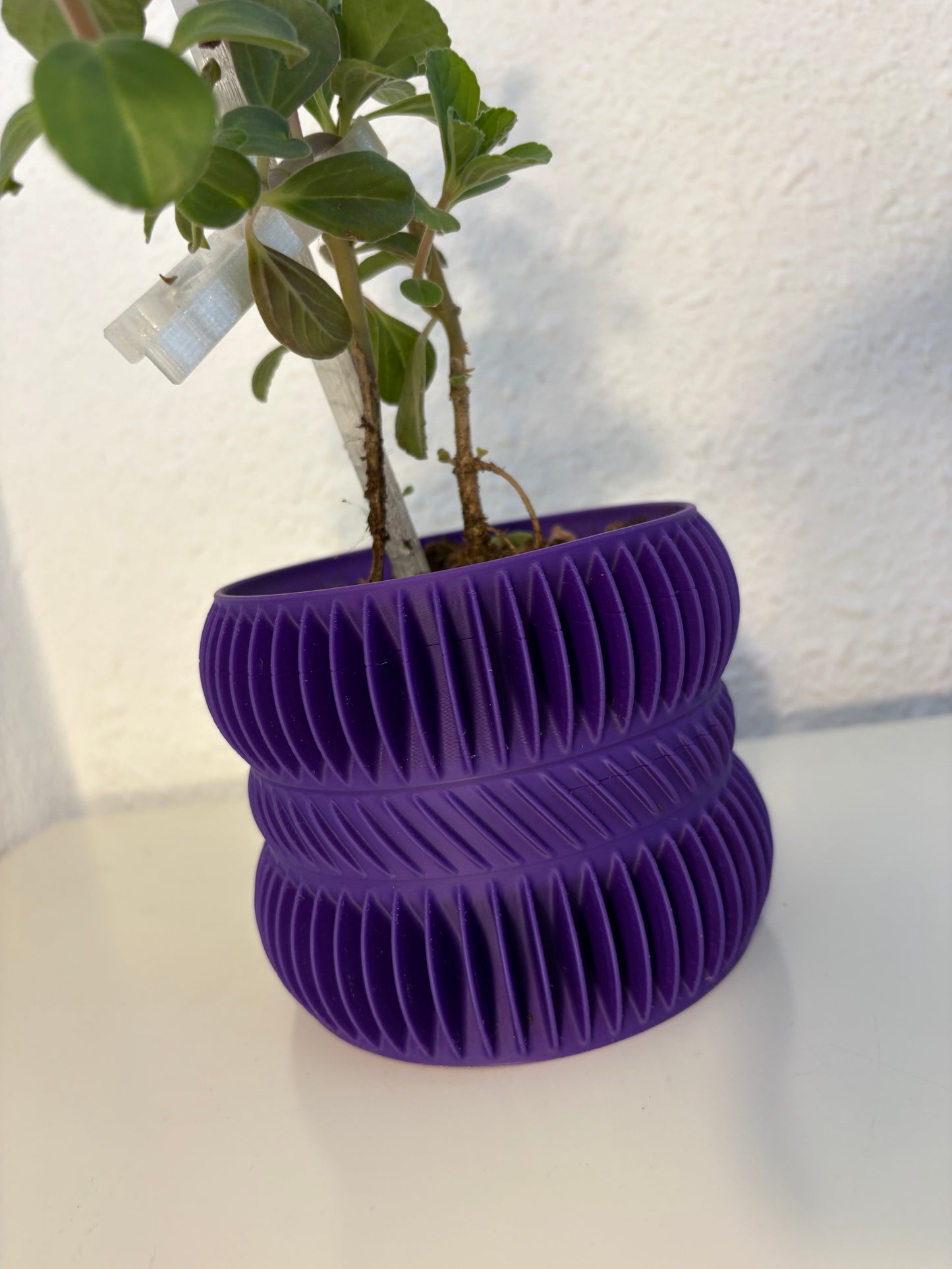 Ribbed Spiral Planter