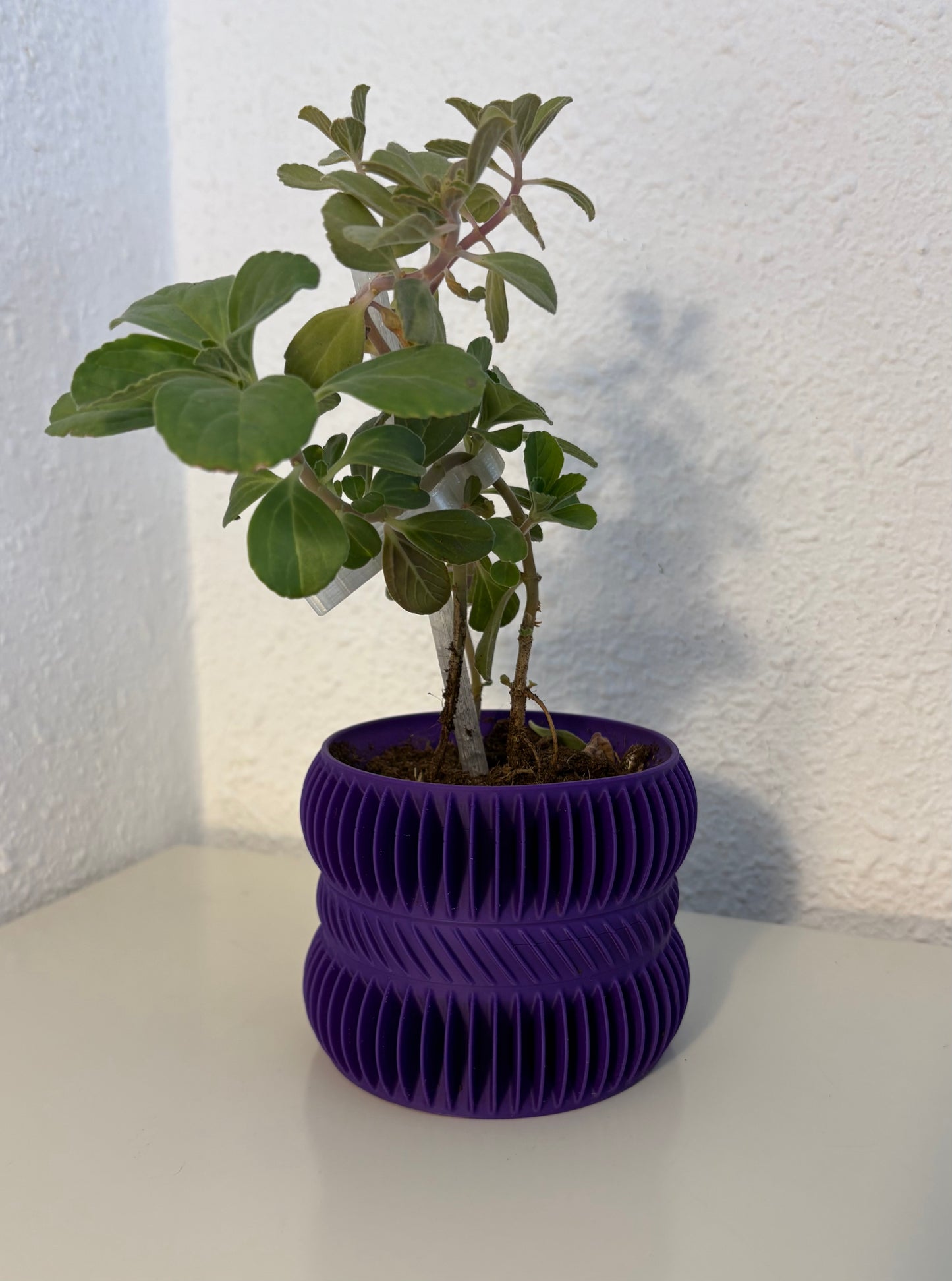 Ribbed Spiral Planter