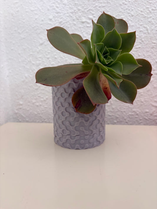 Textured Planter with Drainage Tray