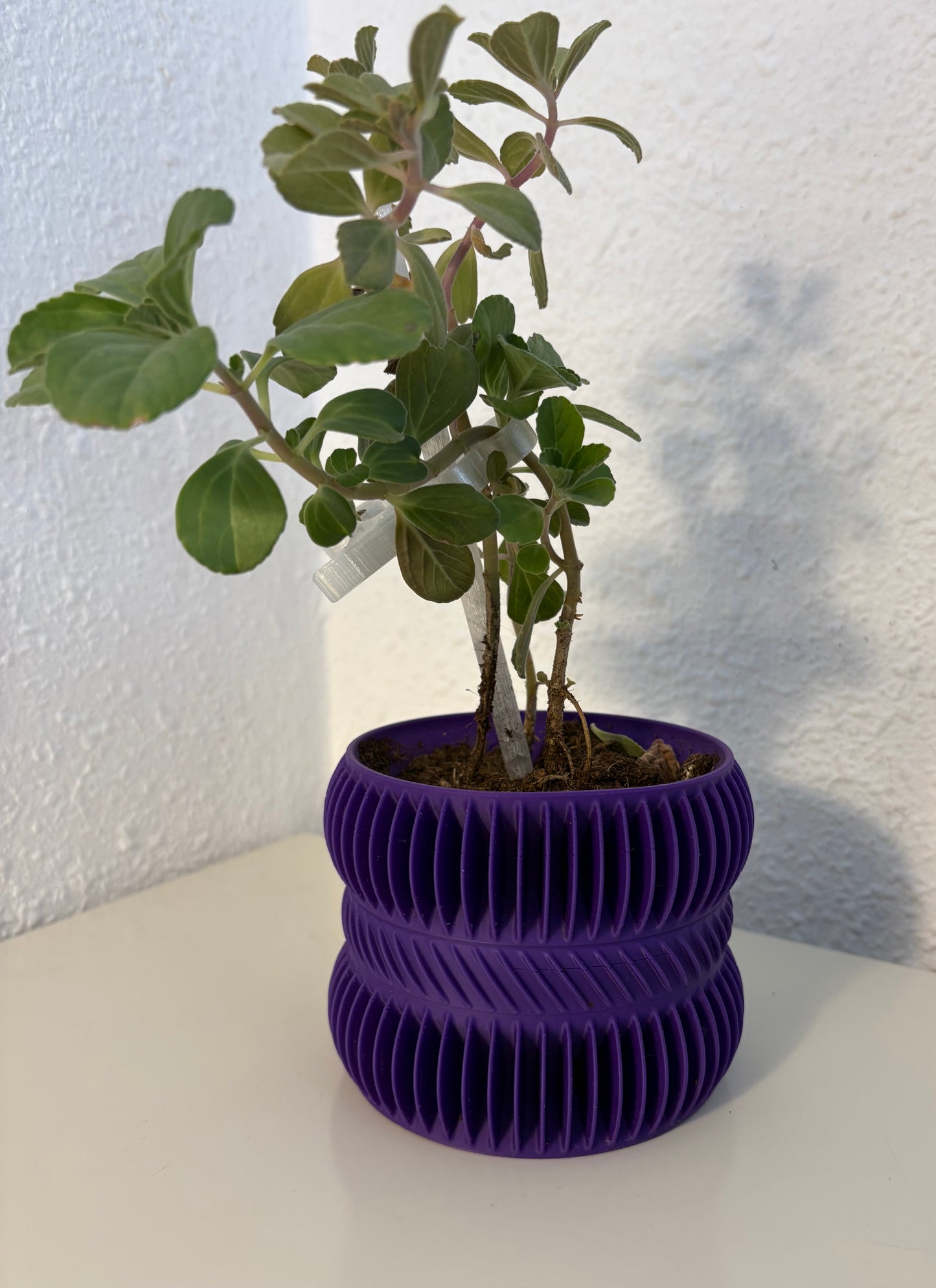 Ribbed Spiral Planter